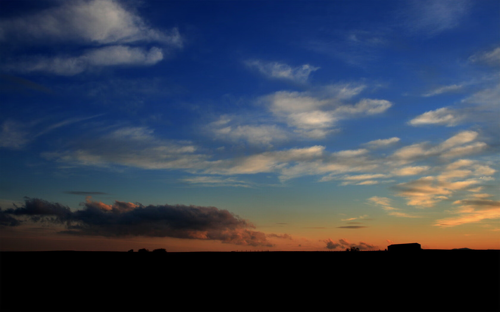 自由搏击赛事现场气氛热烈,自由搏击比赛叫啥