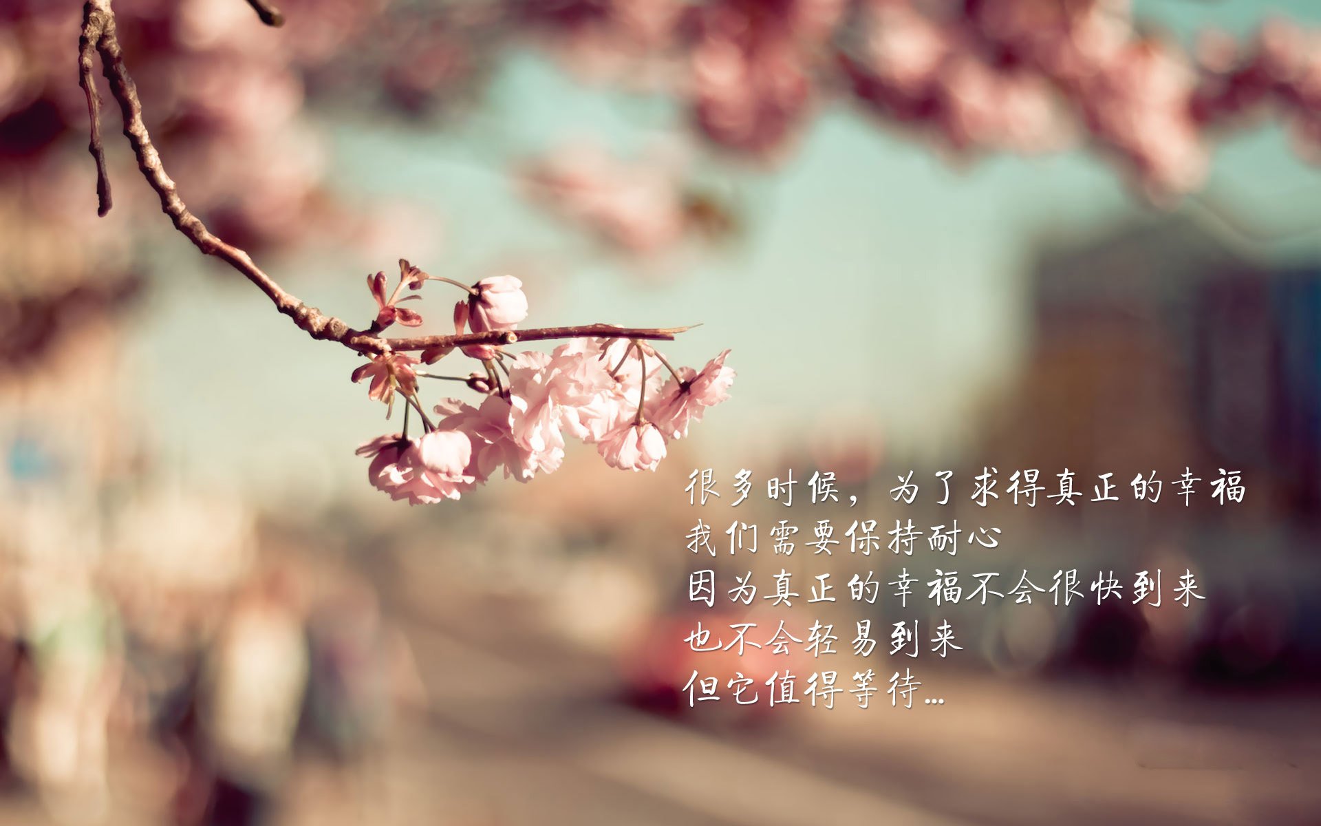 那不勒斯打出连续配合击穿防线,那不勒斯阵型